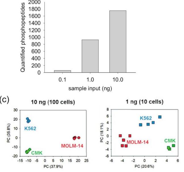 A Tip-Based Workflow for Sensitive IMAC-Based Low Nanogram Level ...