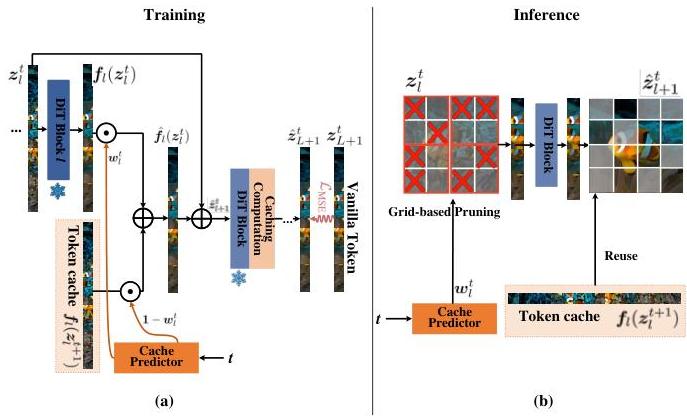 Token Caching for Diffusion Transformer Acceleration | II-Commons