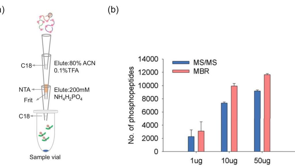 A Tip-Based Workflow for Sensitive IMAC-Based Low Nanogram Level ...
