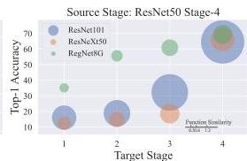 Deep Model Reassembly | II-Commons