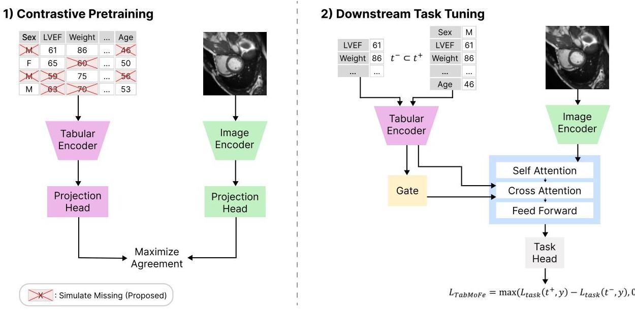 No Data? No Problem: Robust Vision-Tabular Learning with Missing Values ...