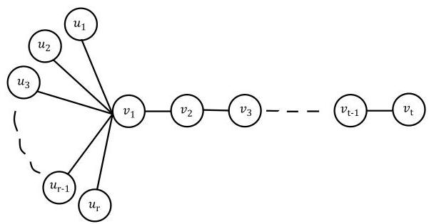 Roman Dominaton Graph Roman Domination of the Comet, Double Comet, and Comb Graphs | II-Commons